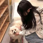 梁山王者传奇手游